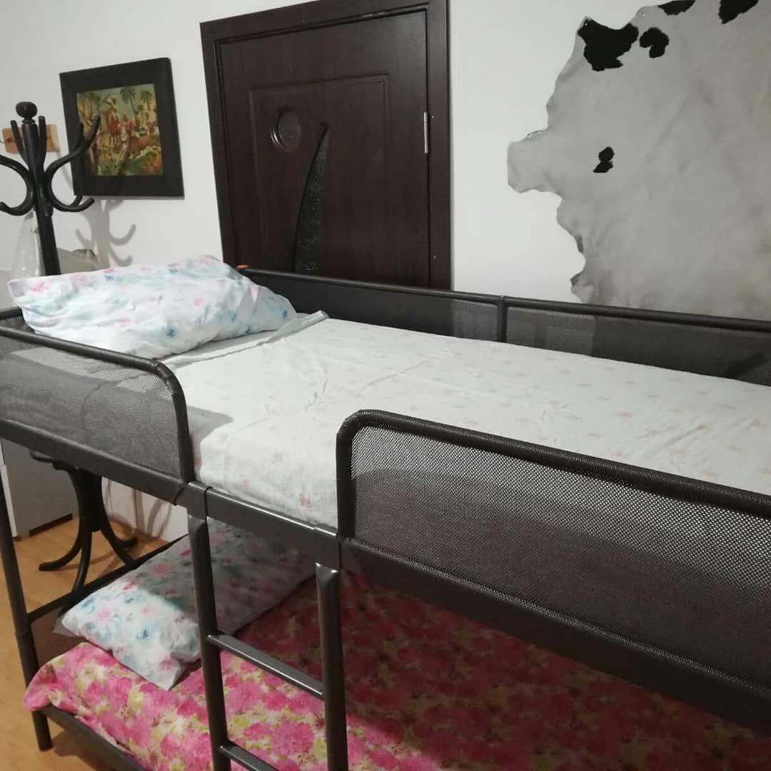 Leyla Hostel 布拉索夫 外观 照片