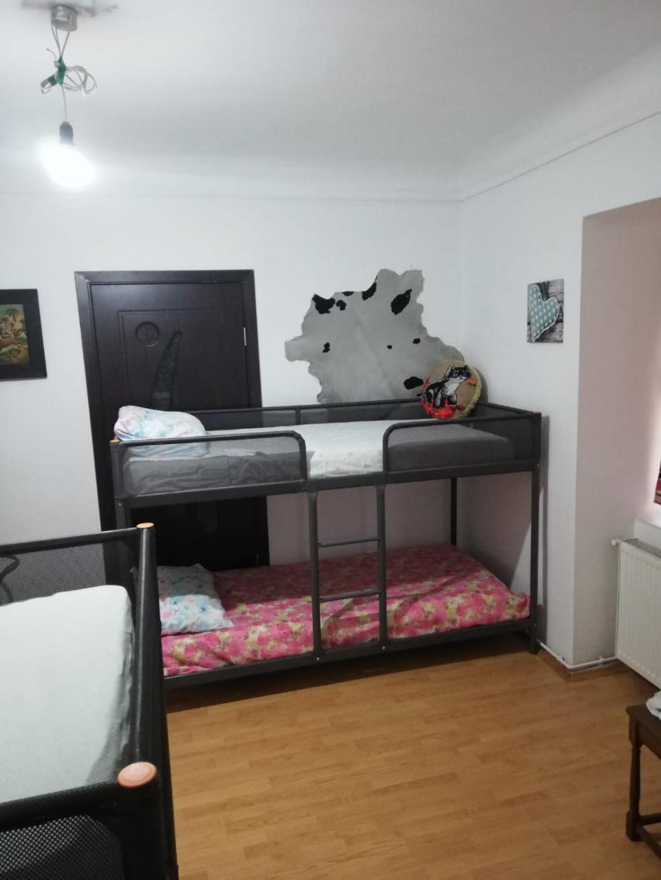 Leyla Hostel 布拉索夫 外观 照片