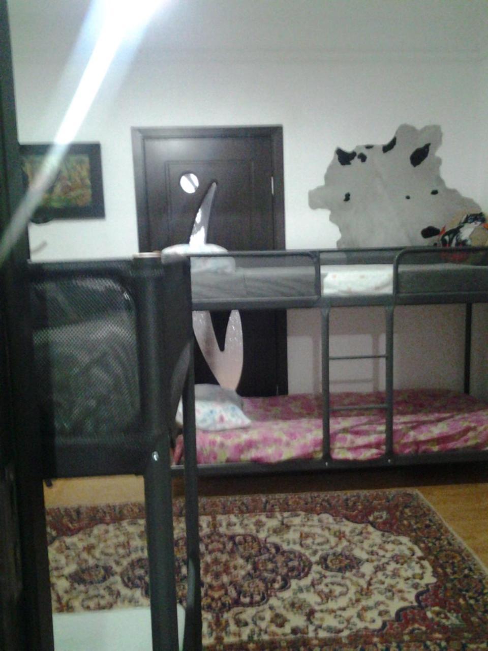 Leyla Hostel 布拉索夫 外观 照片