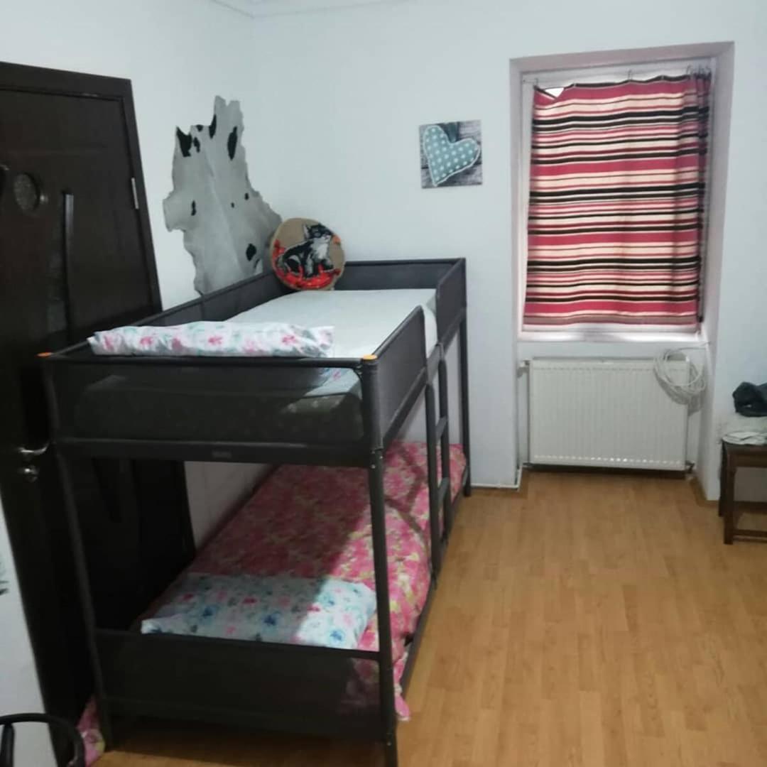 Leyla Hostel 布拉索夫 外观 照片