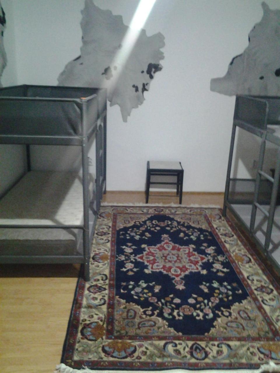 Leyla Hostel 布拉索夫 外观 照片