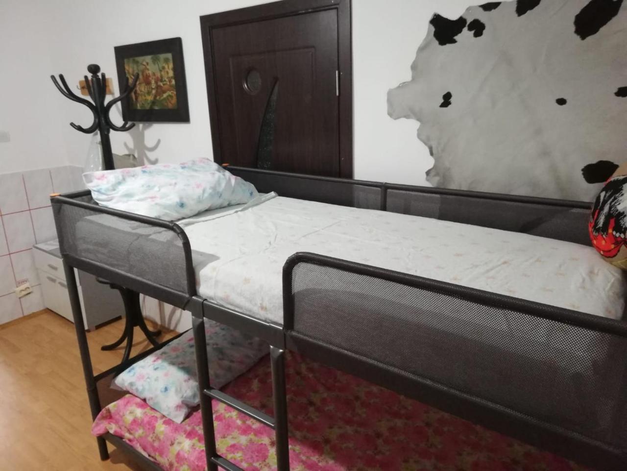 Leyla Hostel 布拉索夫 外观 照片