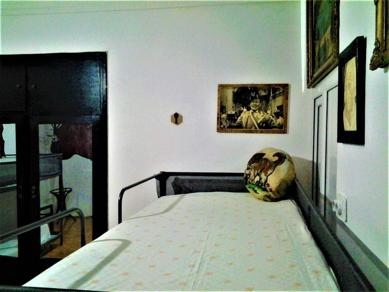 Leyla Hostel 布拉索夫 外观 照片