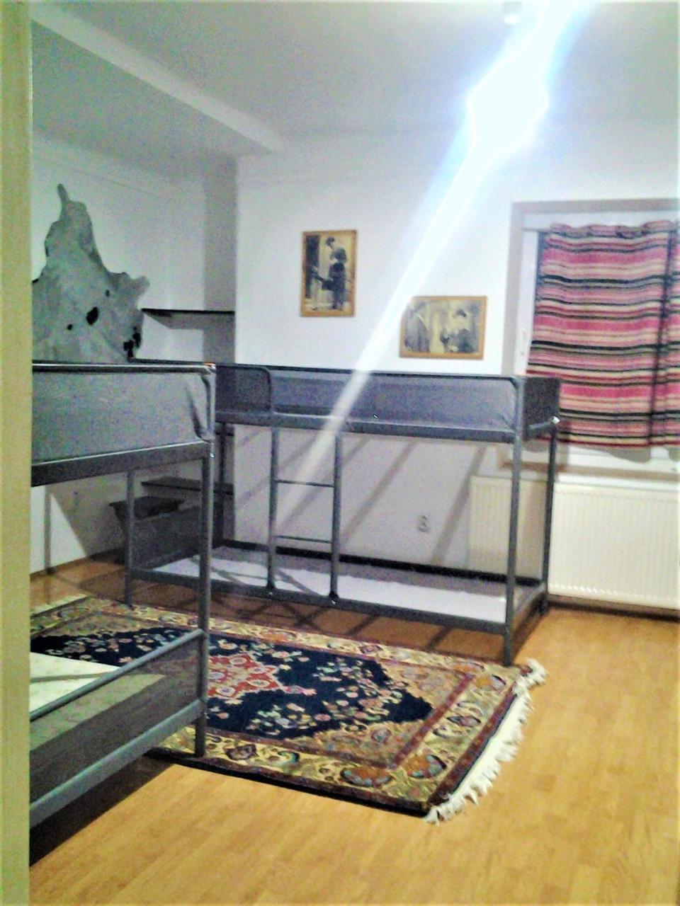 Leyla Hostel 布拉索夫 外观 照片