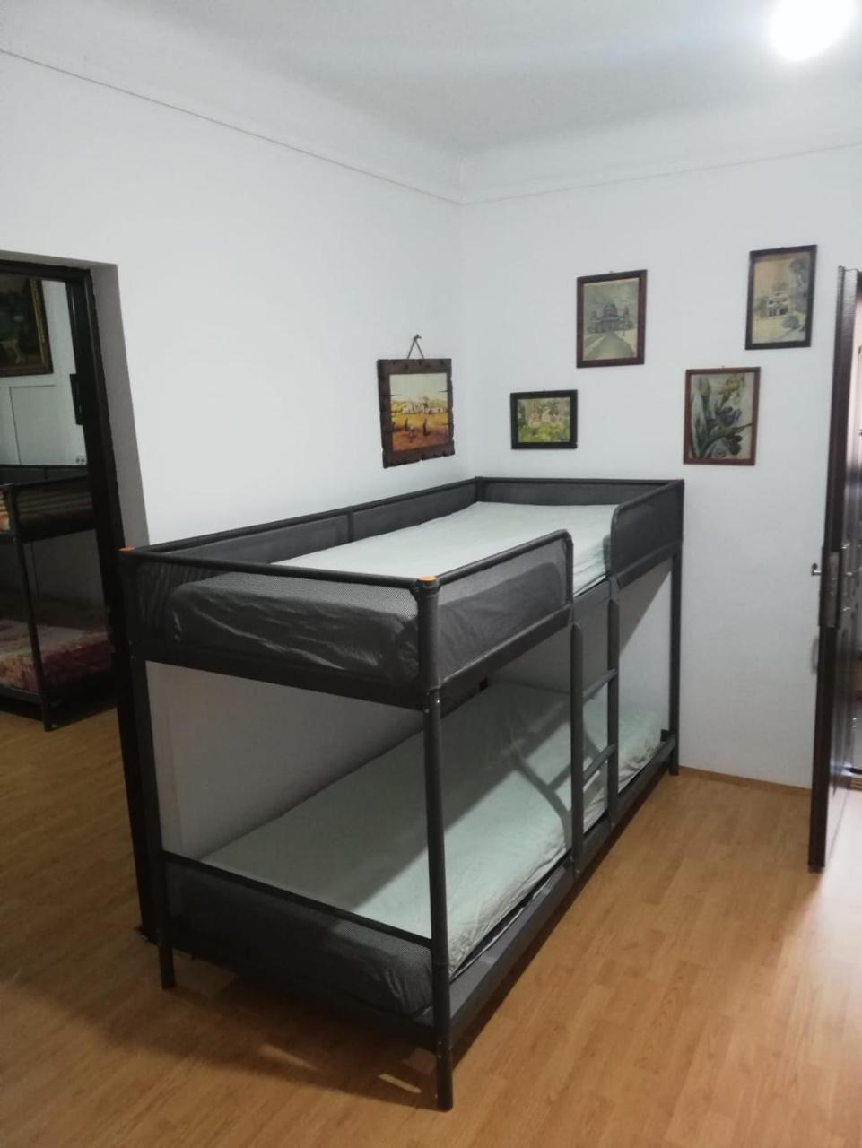 Leyla Hostel 布拉索夫 外观 照片