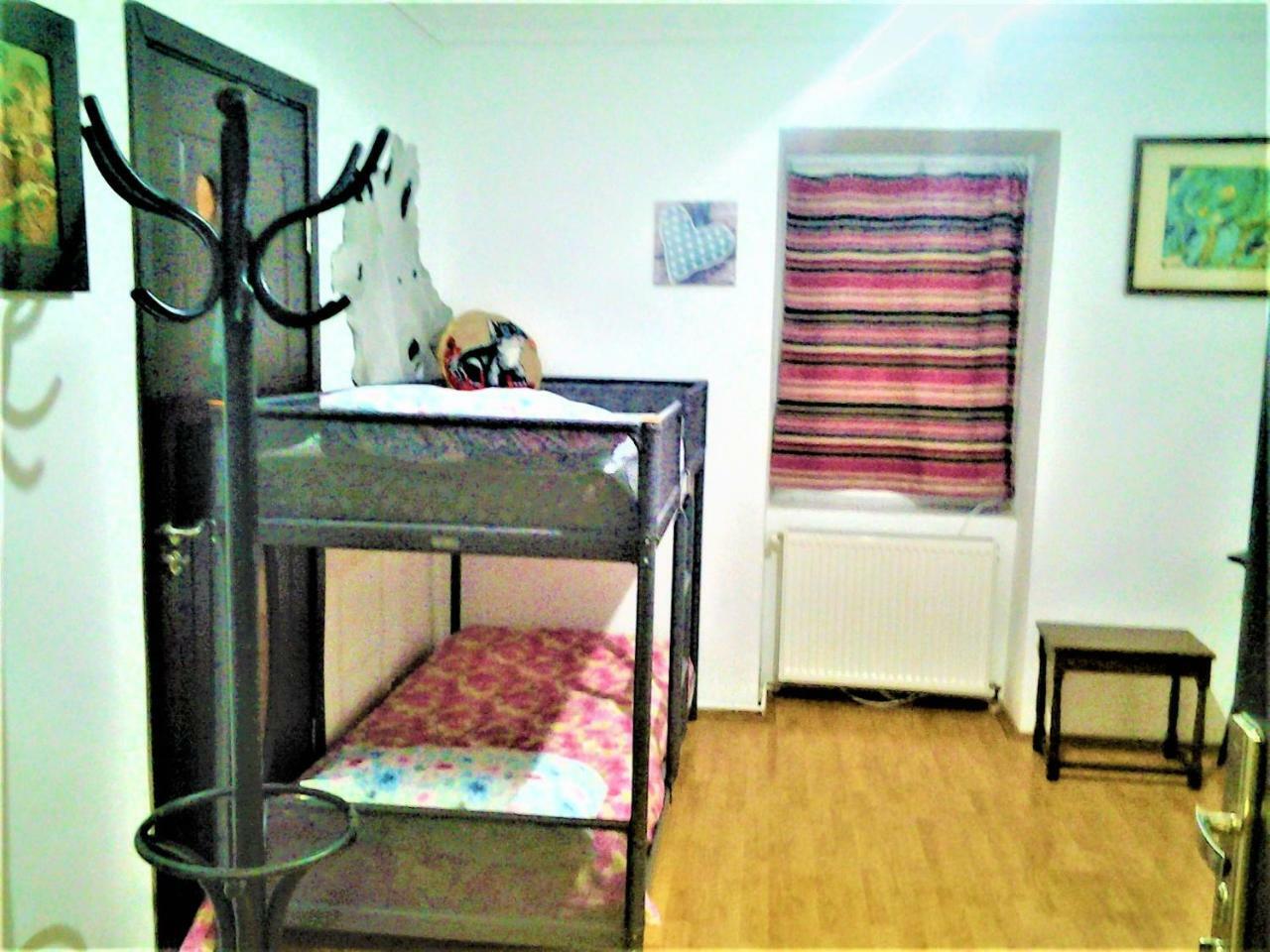 Leyla Hostel 布拉索夫 外观 照片