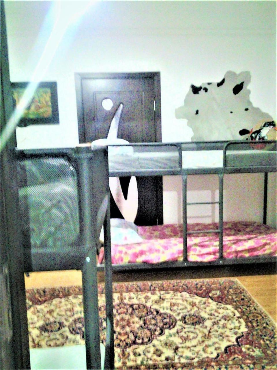 Leyla Hostel 布拉索夫 外观 照片